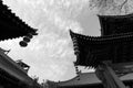 Chinese cornices of xian chenghuangmiao temple, black and white image