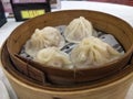 xiao long bao