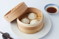 xiaolongbao Chinese steamed bun mantou dumpling isolated on white background Royalty Free Stock Photo