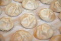Xiaolongbao, soup chinese dumpling Royalty Free Stock Photo
