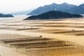 Xiapu Beach of Fujian, China. Royalty Free Stock Photo