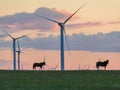 Xilinhot - Heard of horses grazing under wind turbines on a vast pasture in Xilinhot, Inner Mongolia during the sunset Royalty Free Stock Photo