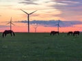 Xilinhot - Heard of horses grazing under wind turbines on a vast pasture in Xilinhot, Inner Mongolia during the sunset Royalty Free Stock Photo