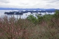 Plum blossom by the Thousand Island Lake in cloudy day, adobe rgb