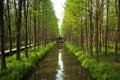 XINGHUA, CHINA: Lizhongshuishang forest or Li Zhong water forest is the natural ecological oxygen bar, is a good place for urban p