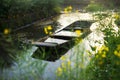 XINGHUA, CHINA: Paddle boat along canal in rapeseed field at morning