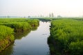 XINGHUA, CHINA: Canal in rapeseed field at morning