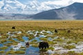 Karakul Lake view from Karakoram Highway in Pamir Mountains, Akto County, Kizilsu Kirghiz Autonomous Prefecture, Xinjiang, China. Royalty Free Stock Photo