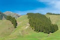 Nanshan Pasture. a famous landscape in Urumqi, Xinjiang, China.