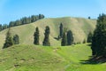 Nanshan Pasture. a famous landscape in Urumqi, Xinjiang, China.