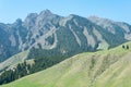 Nanshan Pasture. a famous landscape in Urumqi, Xinjiang, China.