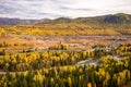 Xinjiang Hemu birch forest autumn