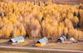 Xinjiang Hemu birch forest autumn