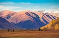 Xinjiang Hemu birch forest autumn