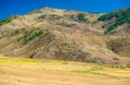 Xinjiang Kanas Grassland Autumn Royalty Free Stock Photo