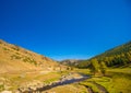 Xinjiang Kanas Grassland Autumn Royalty Free Stock Photo