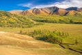 Xinjiang Kanas Grassland Autumn Royalty Free Stock Photo