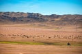 Xinjiang Kanas Grassland Autumn Royalty Free Stock Photo