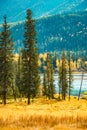 Xinjiang Kanas River scenery Royalty Free Stock Photo