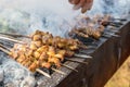 Xinjiang roast lamb kebabs Royalty Free Stock Photo