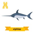 Xiphias. X letter. Cute children animal alphabet in vector. Funny cartoon animals Royalty Free Stock Photo