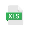 XLS format file isolated on white background.