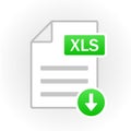 XLS icon isolated. File format. Vector Royalty Free Stock Photo