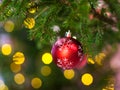 One red ball on christmas tree twig indoor Royalty Free Stock Photo