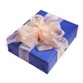 Xmas blue gift packing