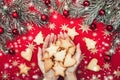 Xmas card, ladies` hands holding Christmas biscuits. Fir branches with red balls. Top view. Snow effect Royalty Free Stock Photo