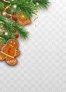 Xmas decoration of Christmas tree branches with gingerbread cookies, holly berries and golden ribbons on transparent background.