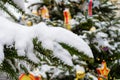 Xmas decorations. Branches of real spruce covered with snow. Close-up