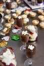 xmas desserts, choc mousse Royalty Free Stock Photo