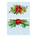 Xmas floral composition with holly berry, poinsettia, fir tree branches. Merry Christmas and Happy New Year Holidays Royalty Free Stock Photo