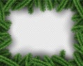 Xmas green pine tree on transparent background