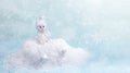 Xmas greeting card. Cute small snowman sitting on white snowdrift on light blue backdrop with snow, stars and bokeh. Royalty Free Stock Photo