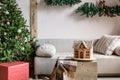 Xmas in morning living room. Sofa bed In christmas Interior. celebrate the new year and holidays. Christmas tree and Royalty Free Stock Photo