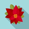 Xmas poinsettia icon, flat style