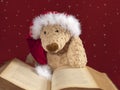 Xmas teddy bear reading an old book Royalty Free Stock Photo