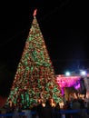 Xmas tree, Betlehem, Palestine Royalty Free Stock Photo