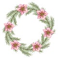 Xmas wreath with hellebore flowers and spruce branches. Winter green lush sprig, pink flower heads. Space for text. Watercolor