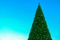 Xmast tree background Royalty Free Stock Photo