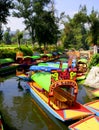 Xochimilco Royalty Free Stock Photo