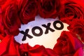 XOXO symbol of hugs and kisses encircled with red roses. Royalty Free Stock Photo