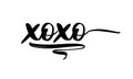 XOXO Valentine`s Day Holiday Vector Text Typography Illustration Background