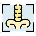 Xray examination icon vector flat