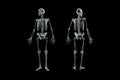 Xray front and back views of full human male skeleton 3D rendering illustration isolated on black background with copy space. Royalty Free Stock Photo