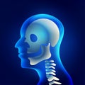 Xray Royalty Free Stock Photo