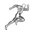 Xray Human Body Of A Man With Skeleton Running vector Royalty Free Stock Photo