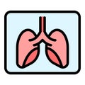 Xray image lungs icon vector flat